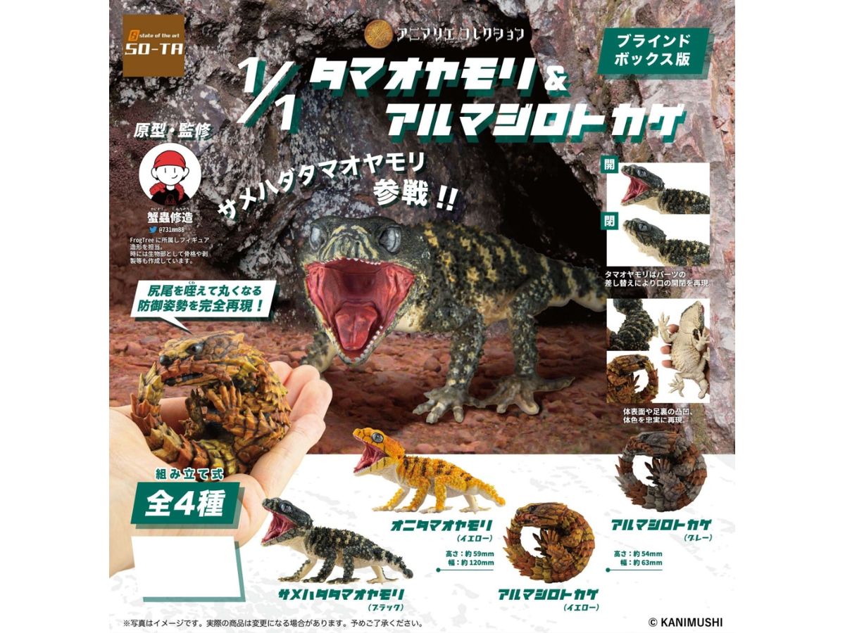 Animalier Collection Nephrurus & Ouroborus cataphractus 1Box 4pcs