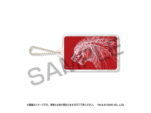 Godzilla Singular Point: Piica + Pass Case