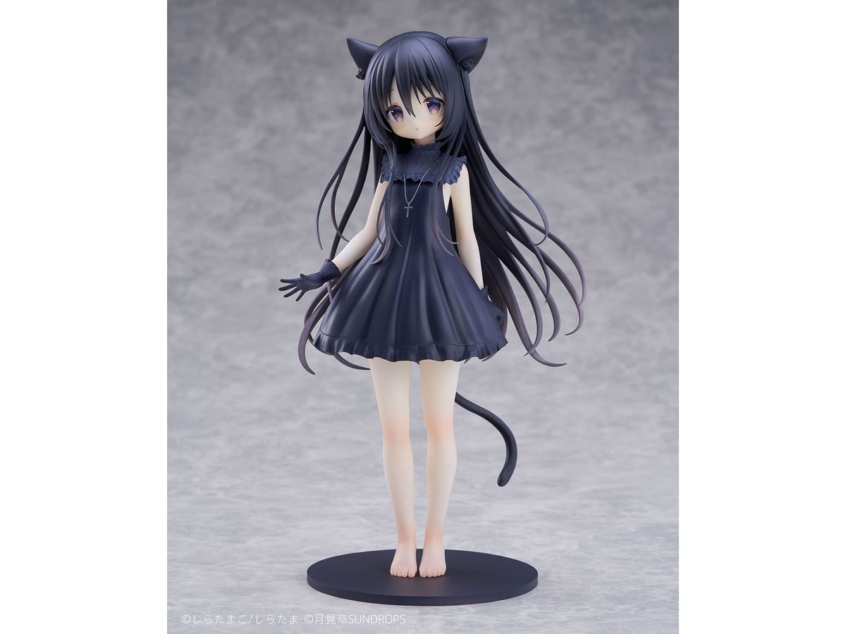 Hoshizora Tetsudou to Shiro no Tabi: Noir