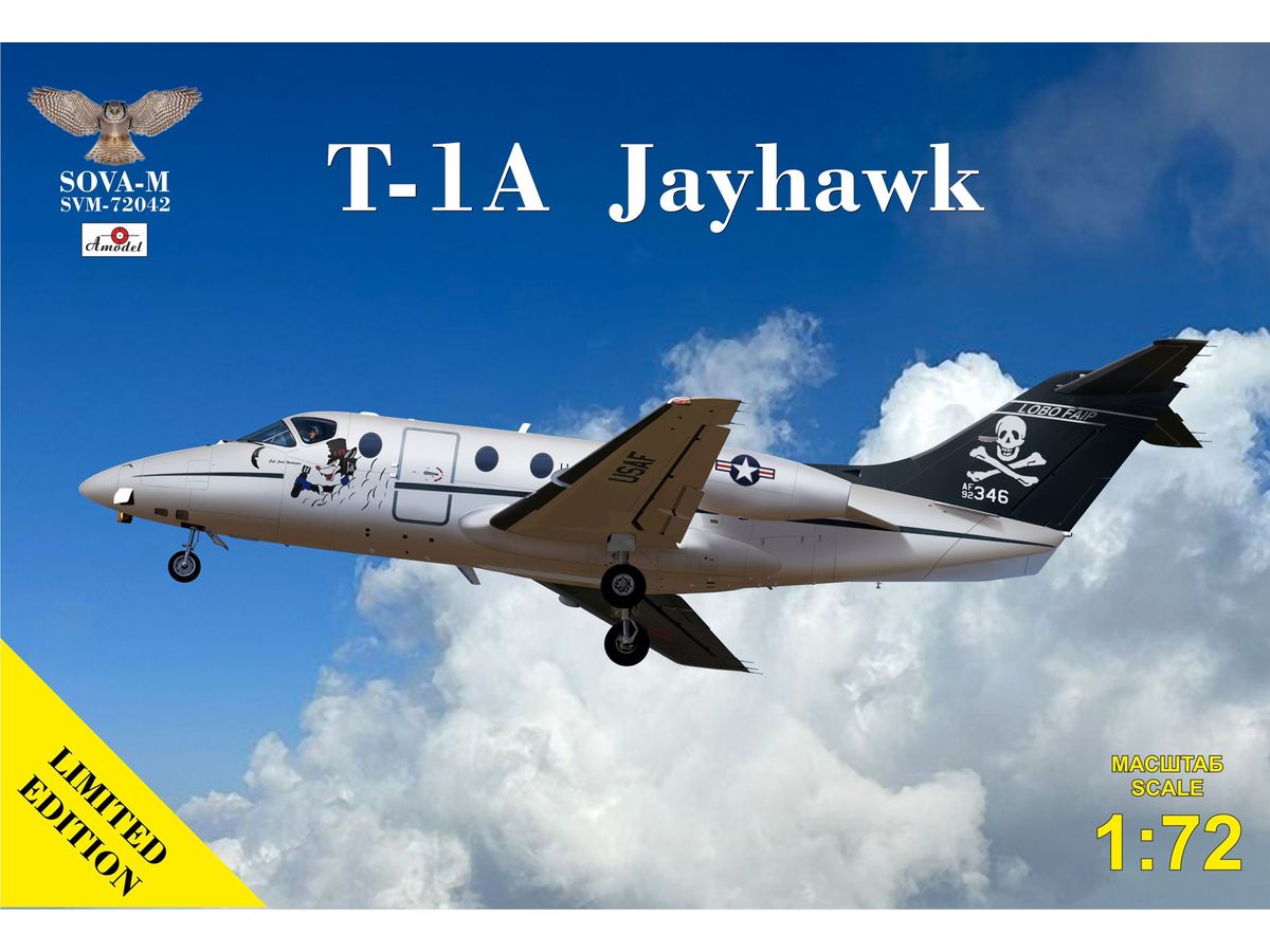 T-1A Jayhawk jet trainer
