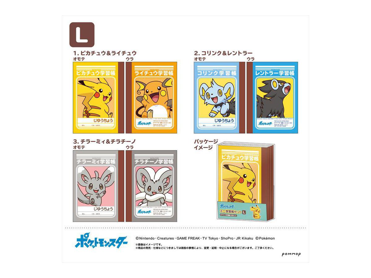 Pokemon: Mini Study Book Set (L)