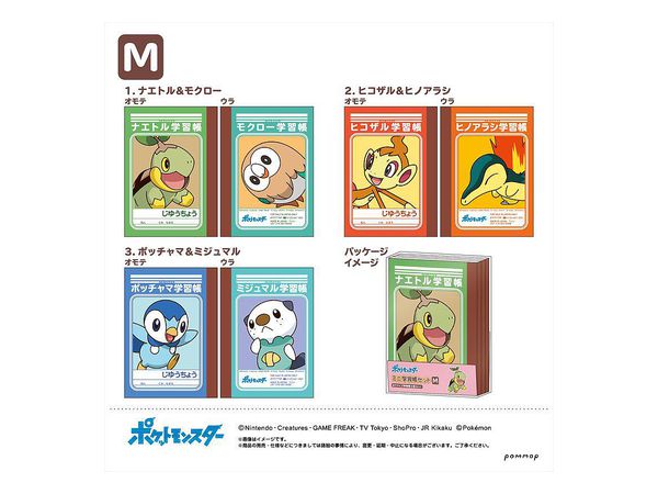 Pokemon: Mini Study Book Set (M)