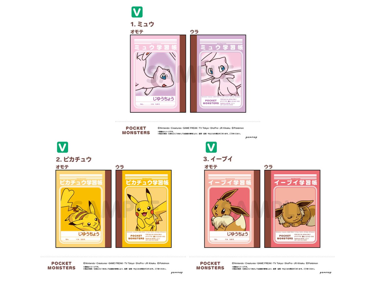 Pokemon: Mini Study Book Set (V)
