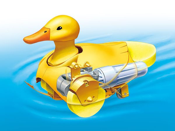 Walking & Swimming Duck (Yellow)