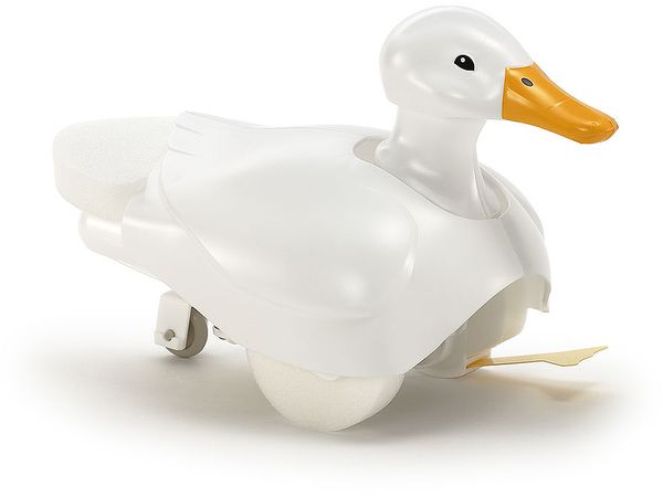 Walking and Swimming Duck Craft Set