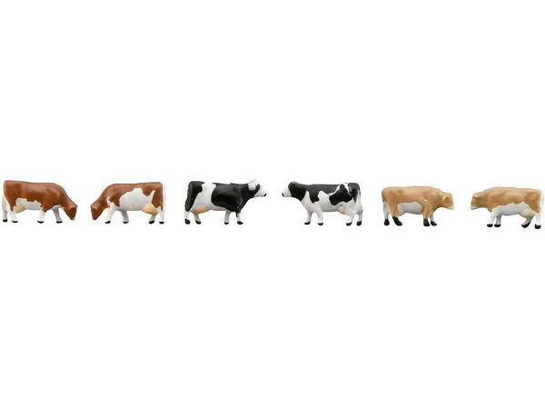 The Animal 109 Ranch Cattle