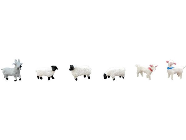 The Animal 107 Sheep and Goats on the Farm