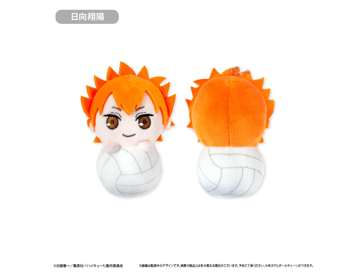 Haikyu!!: Pyokonui Shoyo Hinata