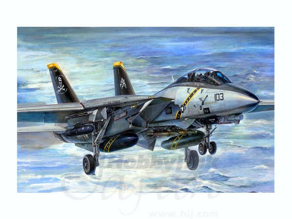 F-14B Tomcat (Bomb-cat) | HLJ.com