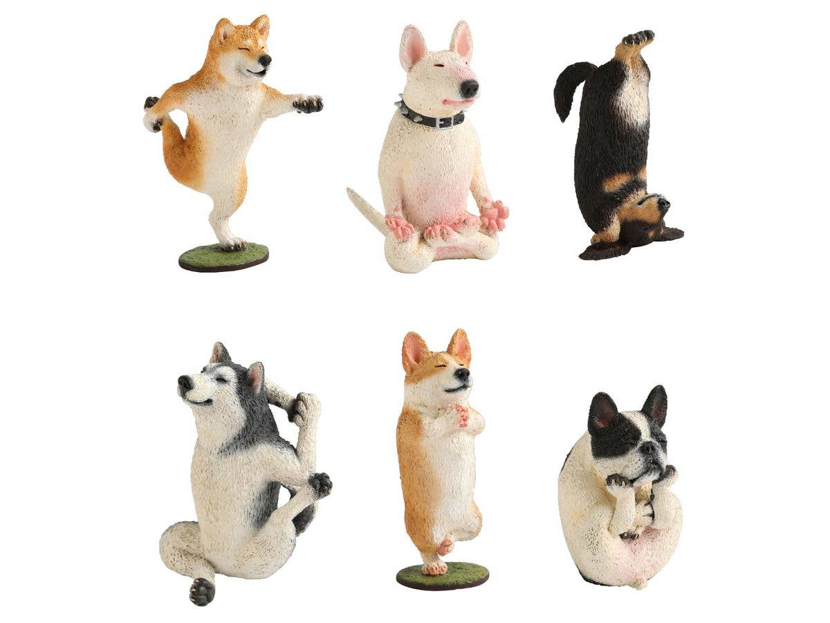 ANIMAL LIFE Dog Yoga Master: 1Box (6pcs) (Reissue)