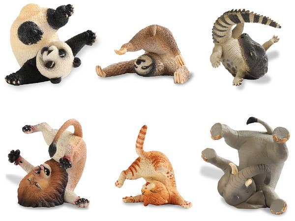 ANIMAL LIFE Rolling Your Eyes: 1Box (8pcs)