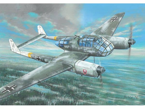 Focke-Wulf Fw 189A-2 (Winter Camouflage)