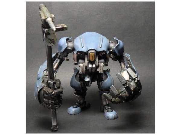 Atlas Frame "Chalcosoma"