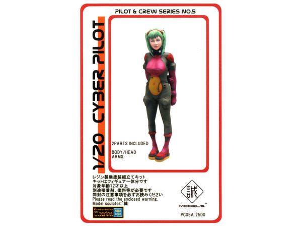 Cyber Pilot