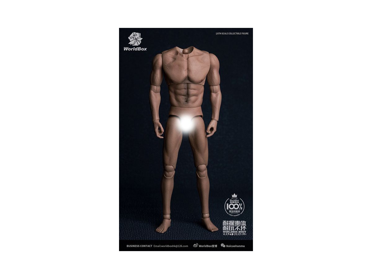 Male Body Muscle Body