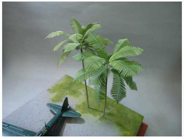 Palm Leaves