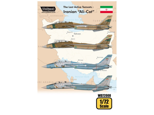 The Last Active Tomcats Iranian Alicat (F-14A Tomcat)