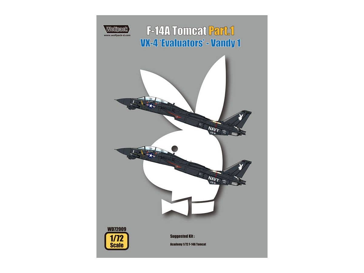 F-14A Tomcat Part1 VX-4 Evaluators Vandy 1 (for Academy)