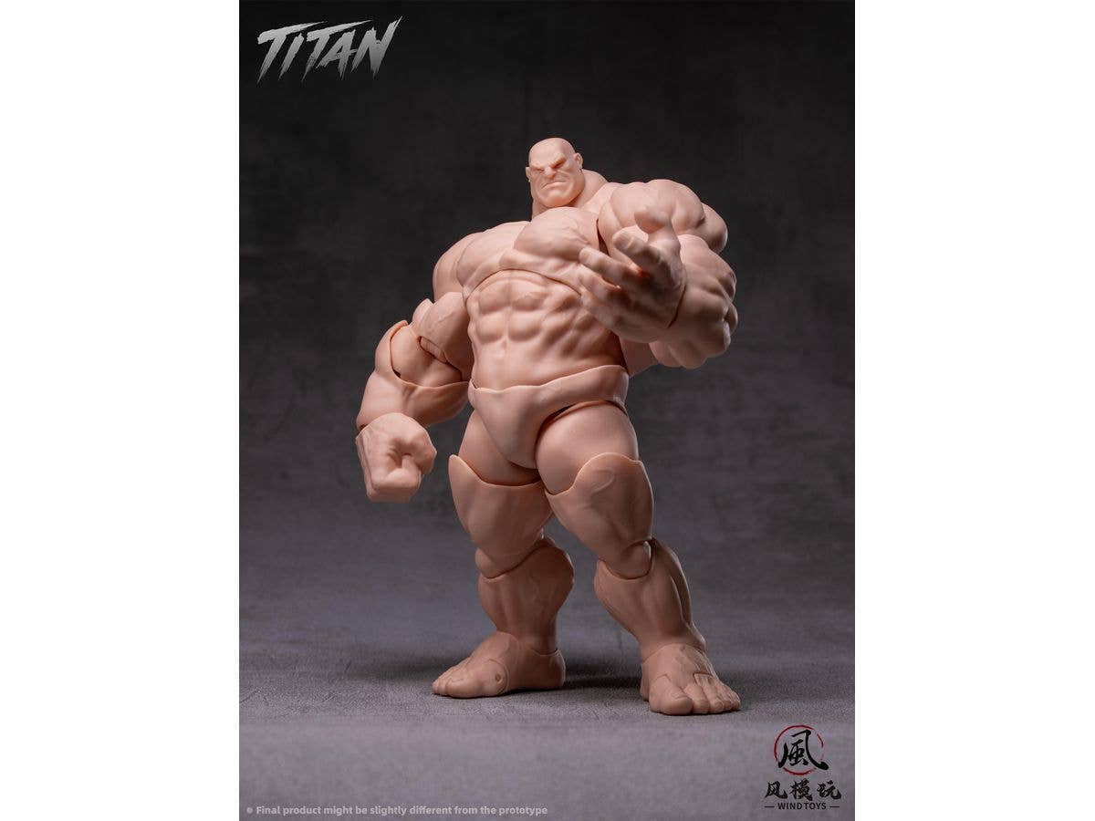 Super Action Figure Body Titan FMW009 Normal Skin