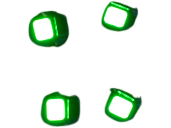 Wireless LED Coil L Size Exclusive Module (4 Pieces) Green