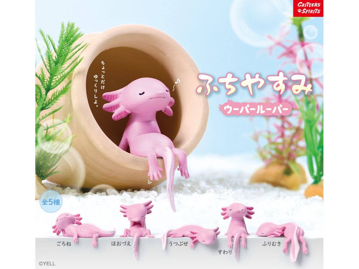 Fuchiyasumi Axolotl 1Box 10pcs
