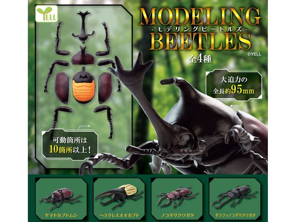 Modeling Beetles: 1Box (8pcs)
