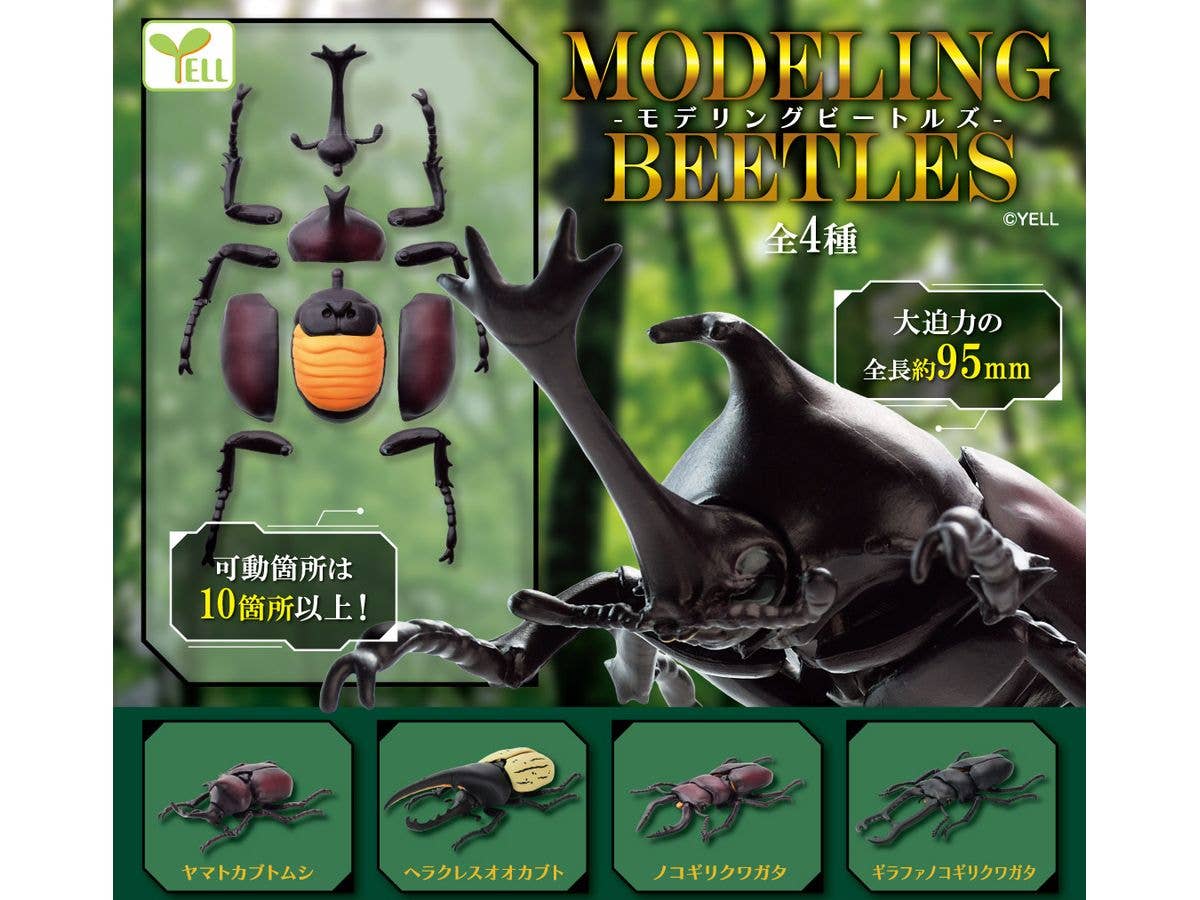 Modeling Beetles: 1Box (8pcs)