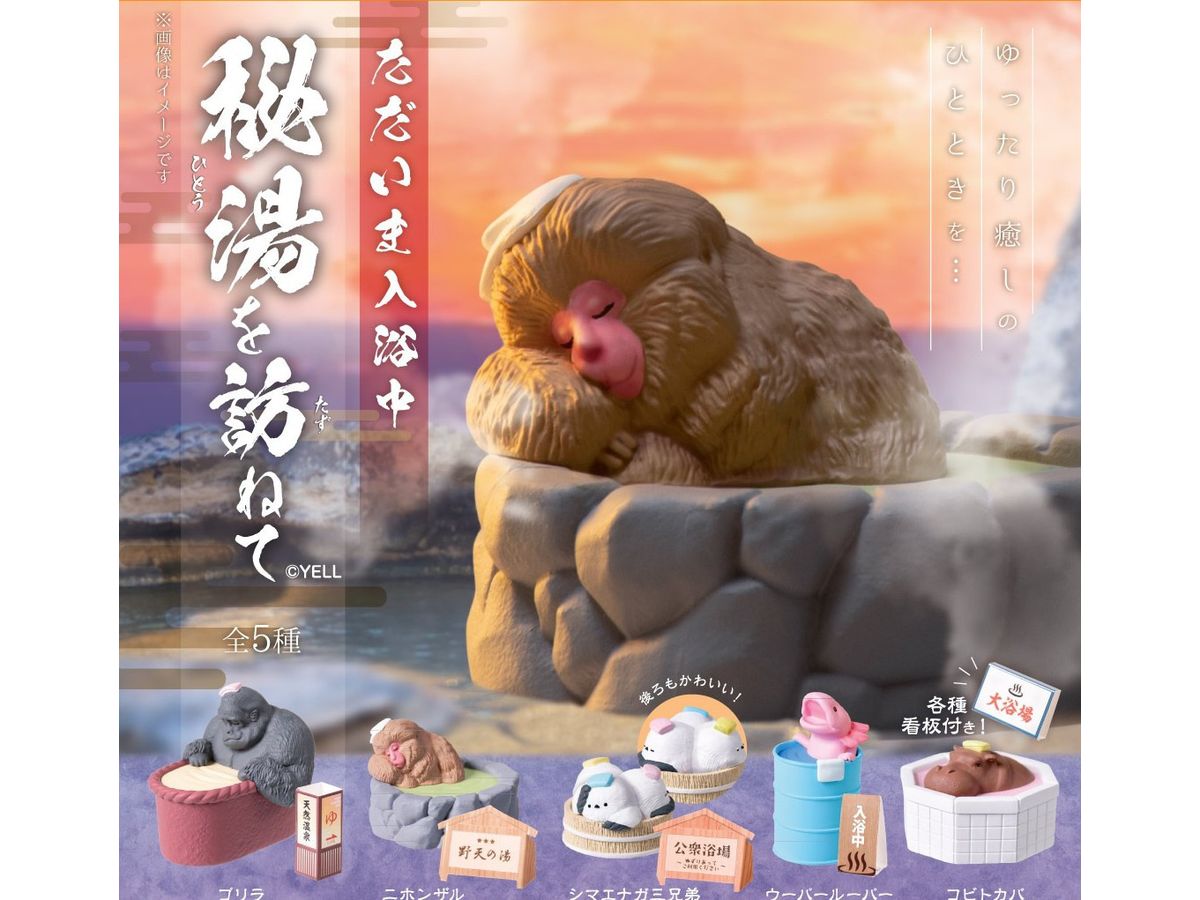 Taking a bath now - Visiting a secret hot spring - 1Box 10pcs