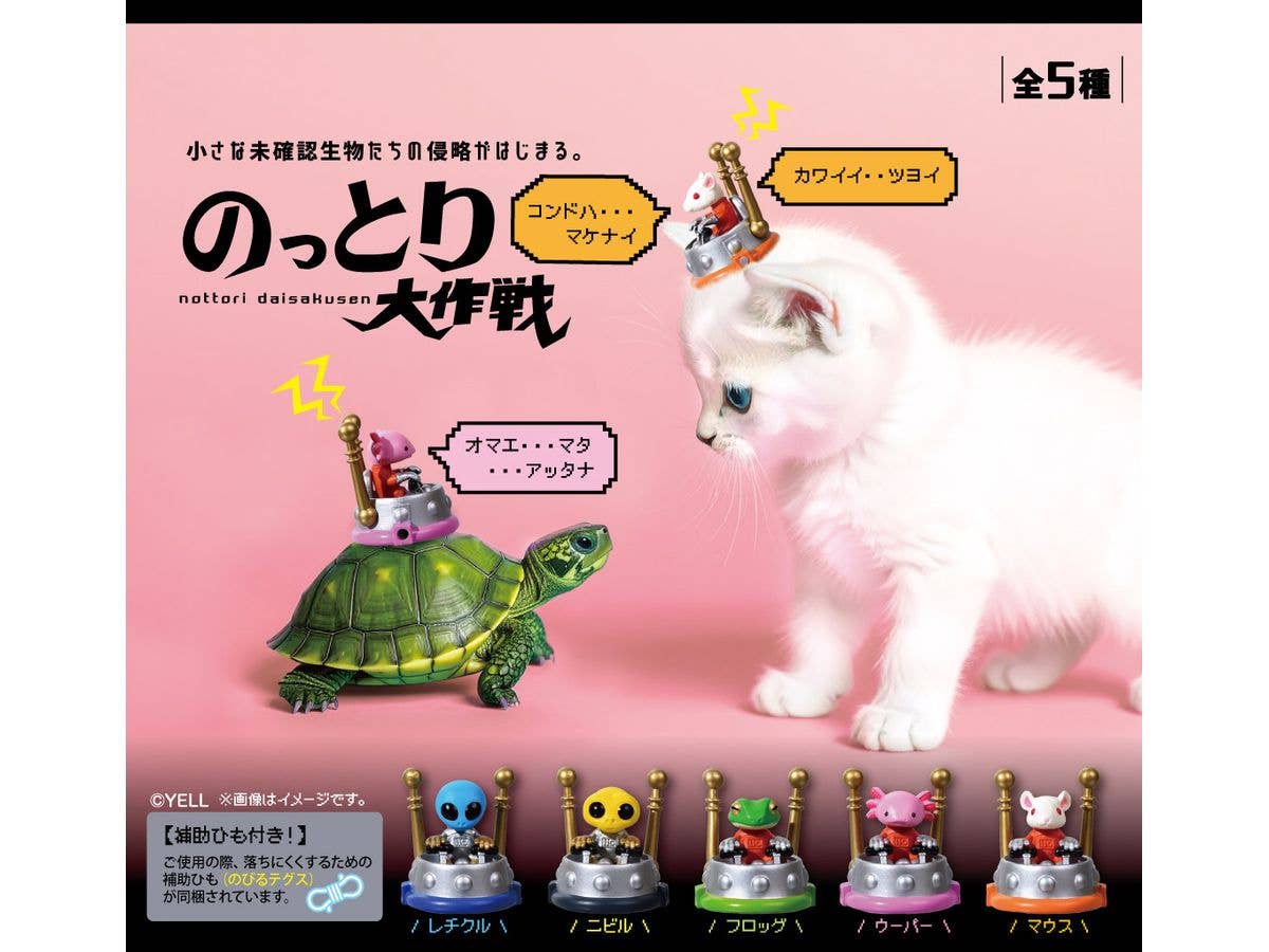 Nottori Disakusen 1Box 10pcs