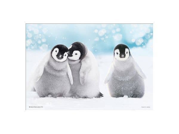 Jigsaw Puzzle: Where Are You Going, Penguin? 300pcs (26 x 38cm)