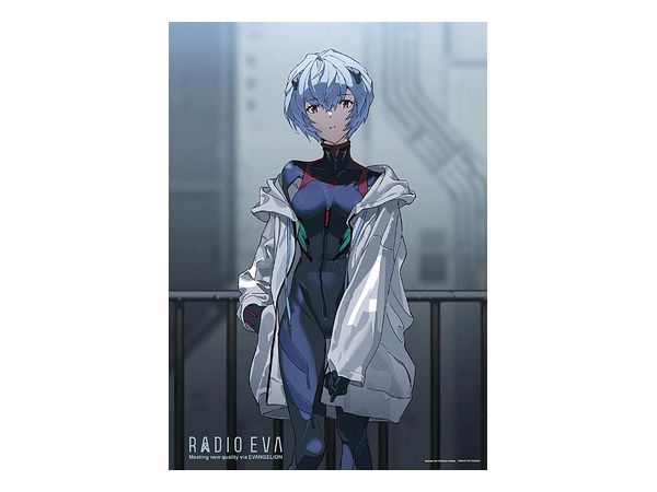 Jigsaw Puzzle Evangelion: Radio Eva Illustration 05 Rei Ayanami 500pcs (No.05-1044: 380mm x 530mm)