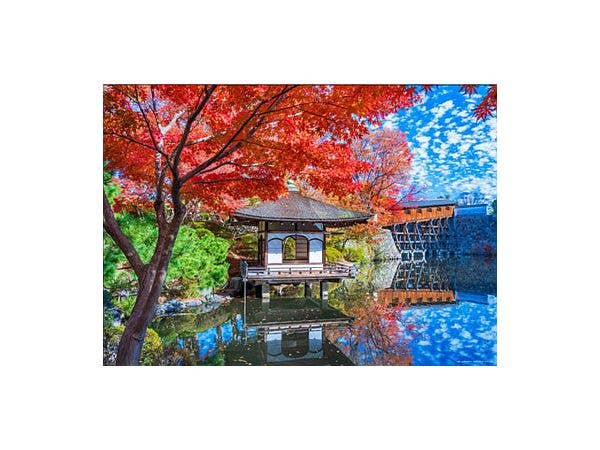 Jigsaw Puzzle Landscape The Nishinomaru Garden (Momijidani Garden) at Wakayama Castle (Wakayama) 500pcs (38 x 53cm)