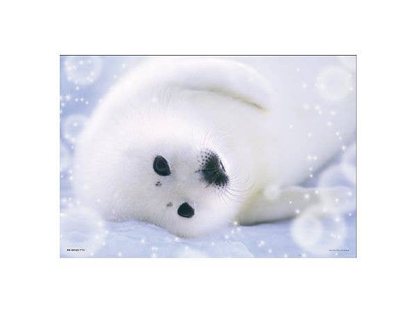 Jigsaw Puzzle: Rolling Around Seal 108 Large pcs (26 x 38cm)