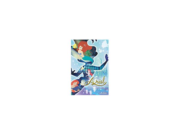 Prism Petit: Silhouette Memory Ariel 70p (10 x 14.7cm)