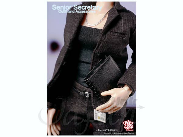 ZC Girl Secretary Outfit & Accessories