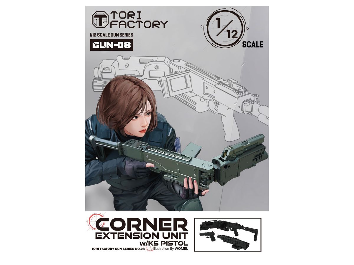 Korean Army Corner Extension Unit & K5 Pistol Set