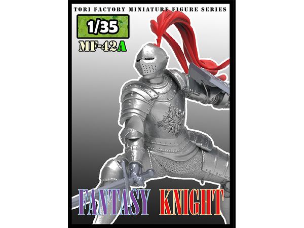 Fantasy World Knight