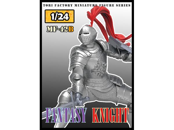 Fantasy World Knight
