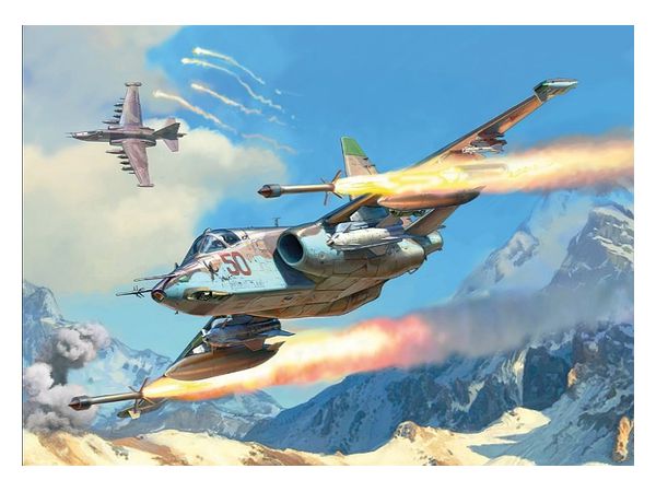 Sukhoi Su-25 Frog Foot